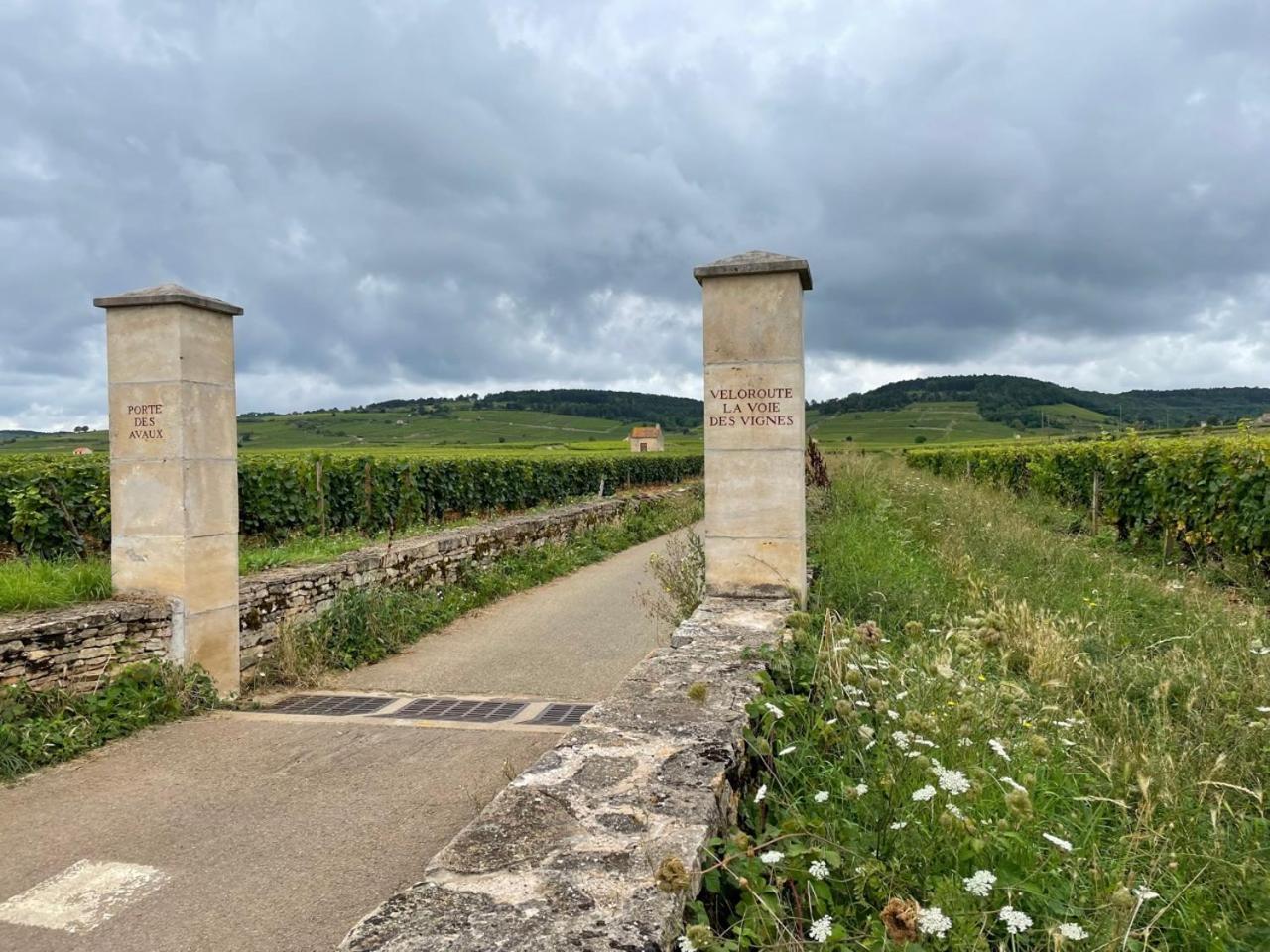 Le Jardin Des Verottes Beaune  Exteriér fotografie